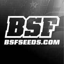 Logo-Bsf