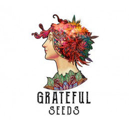 Logo-Grateful-Seeds