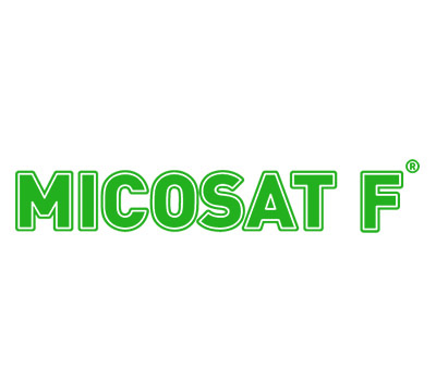 Logo-Micosat
