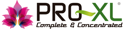 Logo-Pro-xl