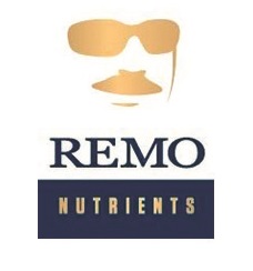 Logo-Remo