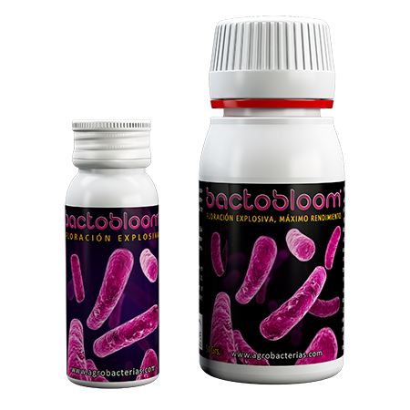 Bactobloom-10-G