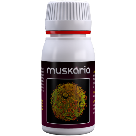 Muskaria-60-Ml