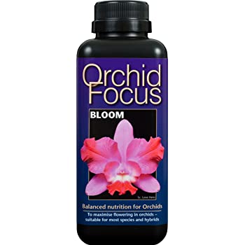 Orchid-Focus-Bloom-300-Ml