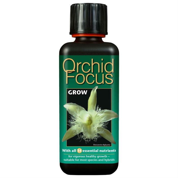 Orchid-Focus-Grow-300-Ml