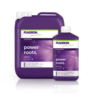 Power-Roots-Plagron-250-Ml