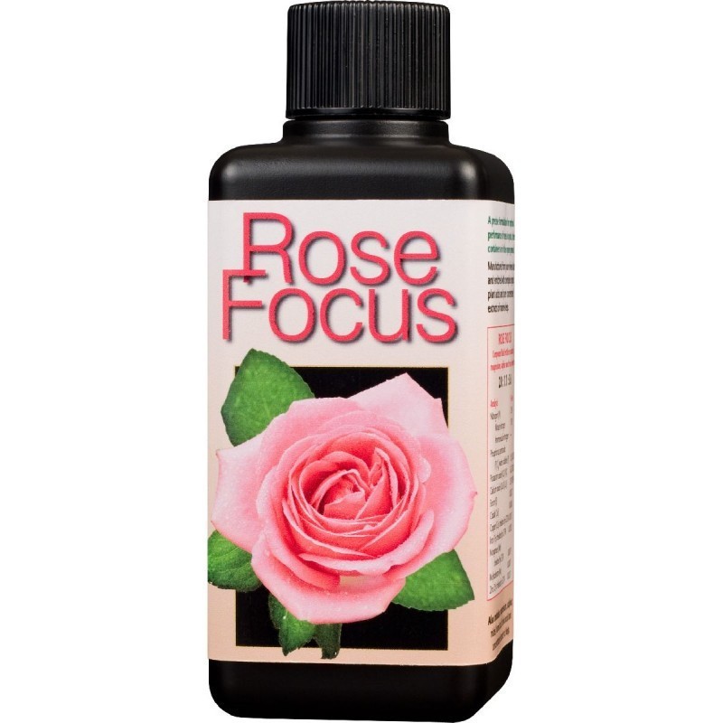 Rose-Focus-300ml