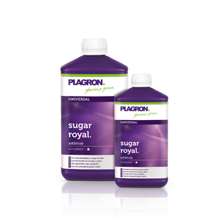 Sugar-Royal-Plagron-250-Ml